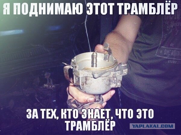 Поколение ЕГЭ приступило к работе