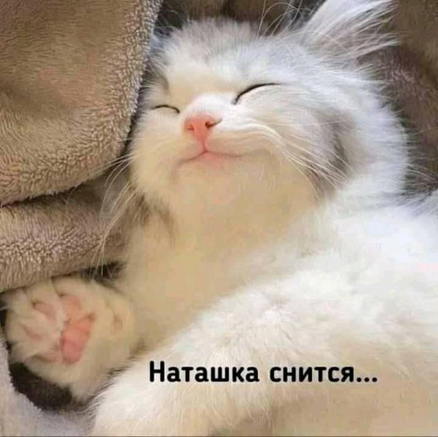 Когда осознал, что вся жизнь - это тлен...