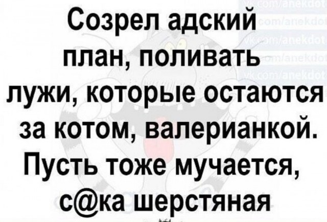 Так себе картинки 11.04.22