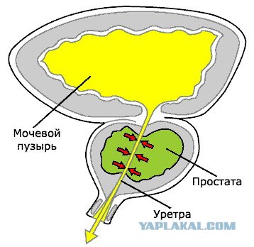 Просто профессии!