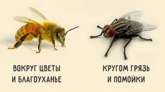 Добро пожаловать