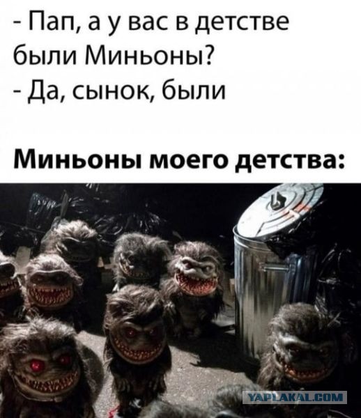 Весёлый полтишок 08.09.22