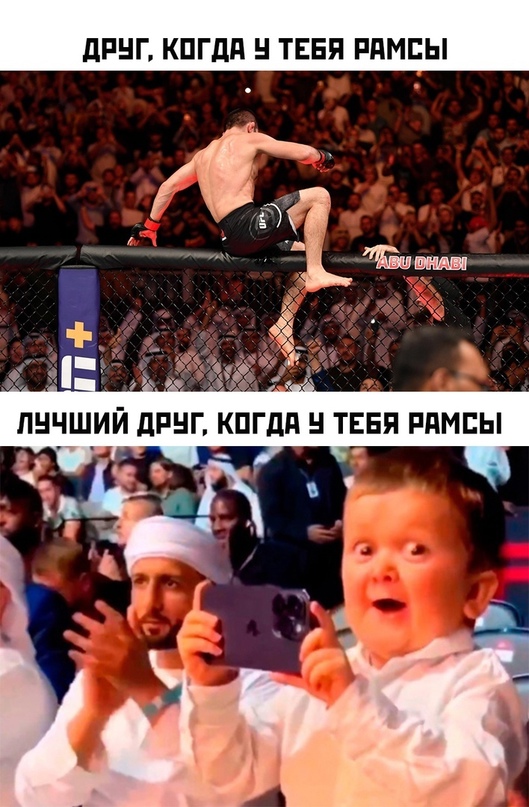 Весёлый полтишок 04.11.22