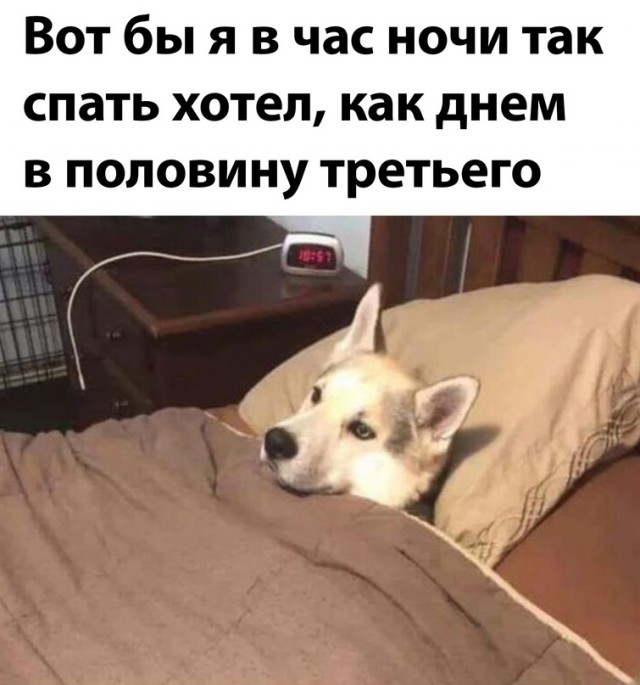 Картинки и мемы, всем хороших выходных