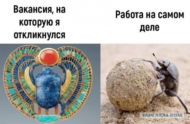 Про зарплату и работу, сравнение