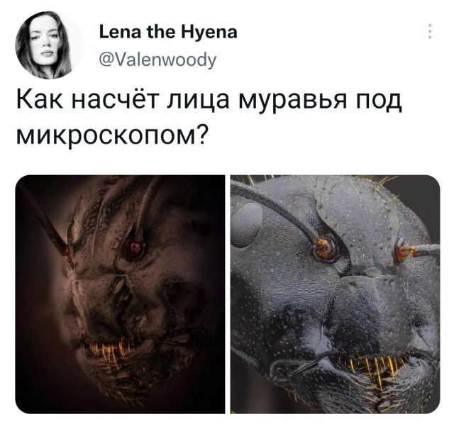 Девятая подборка самых баянистых баянов! Ностальгируем...