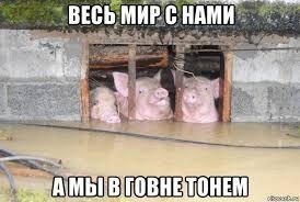 Украина внесла владельца AliExpress в список «спонсоров войны»