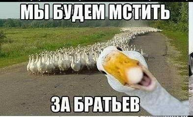 Гусь огонь