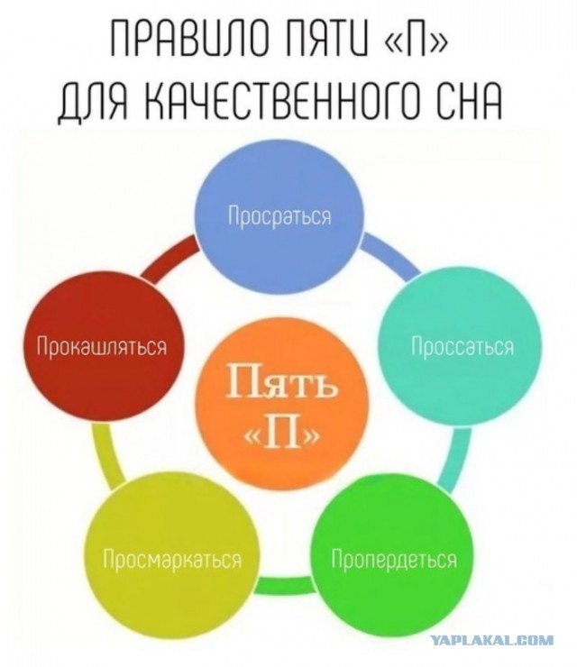 Всего понемногу. От 04.03.24