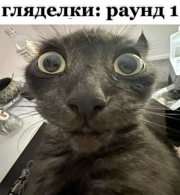 Всего понемногу. От 21.03.24