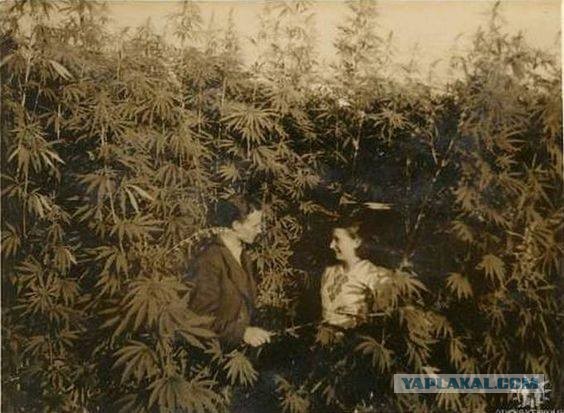 Фотографии из прошлого нашей страны - 55