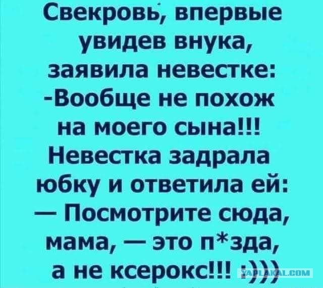 Истории про тещ и свекровей
