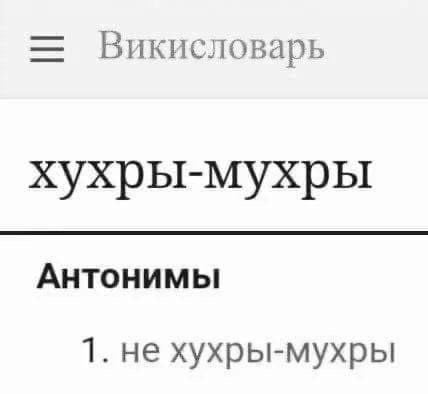 Народная меДИЧина 2024