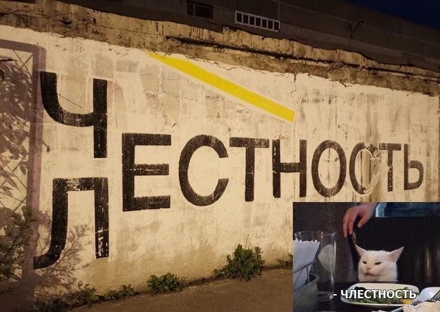 Весёлый полтишок 08.01.25