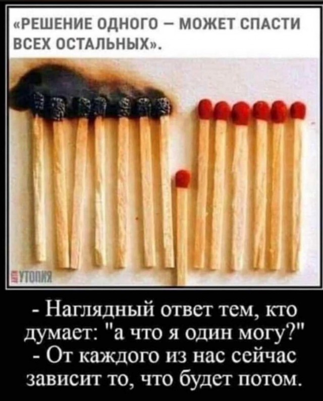 Силовики будут следить за россиянами через Wildberries и Ozon
