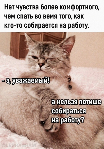 Картинки для деградации 8 ( разной степени свежести)