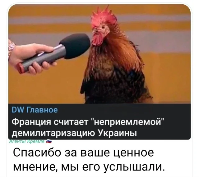 И эти нас тоже победили?(С)