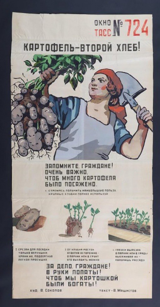 Про картошку