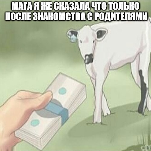 Среды картинки