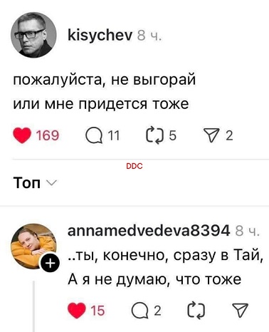 Мой кот