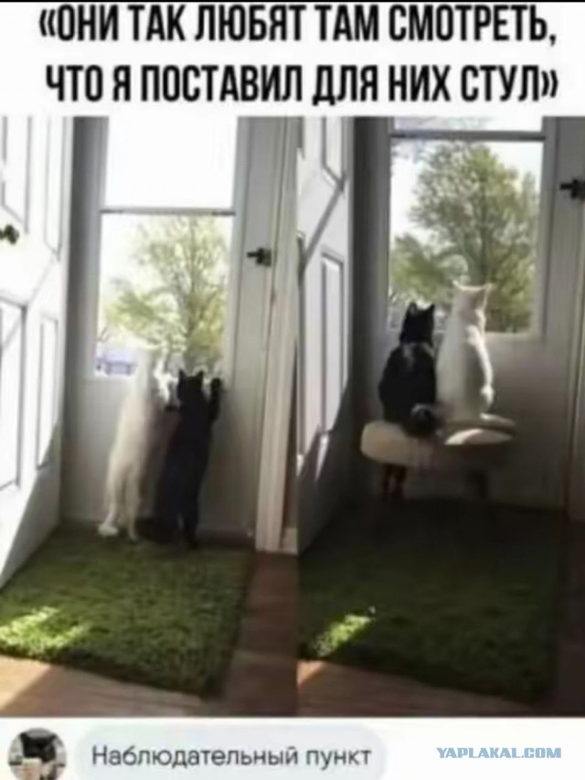 Среды картинки