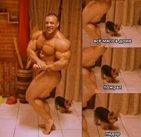 Не Яповец!