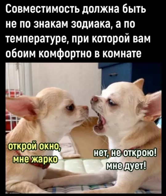 Картиночки, баянчики 04 апреля