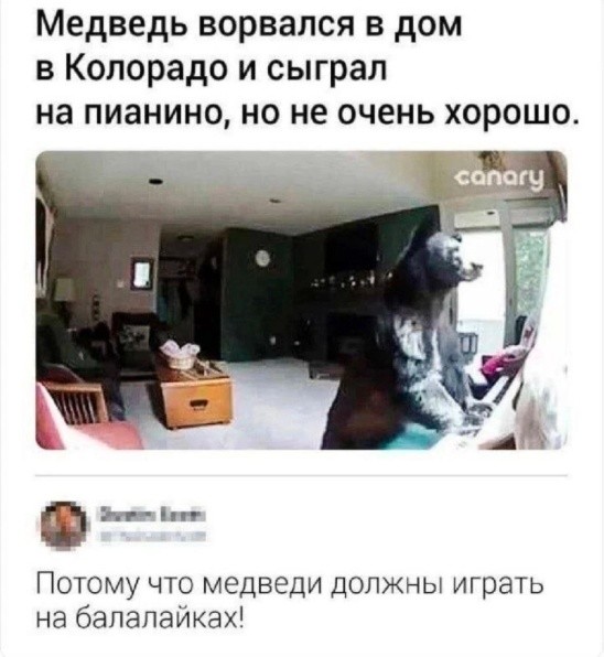 Картинки для деградации 209 (разной степени свежести)