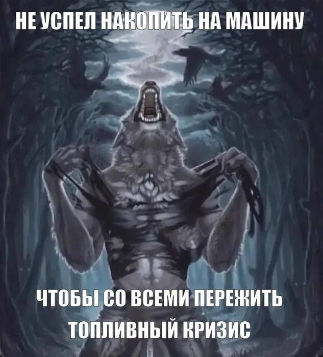 Картинки для деградации 239 (разной степени свежести)