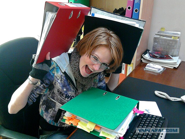 Утка - советчик