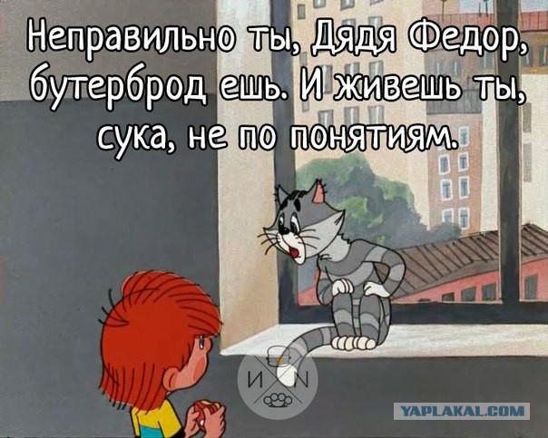А Матроскин прав