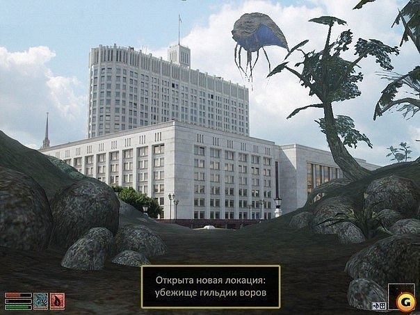 Фраза дня