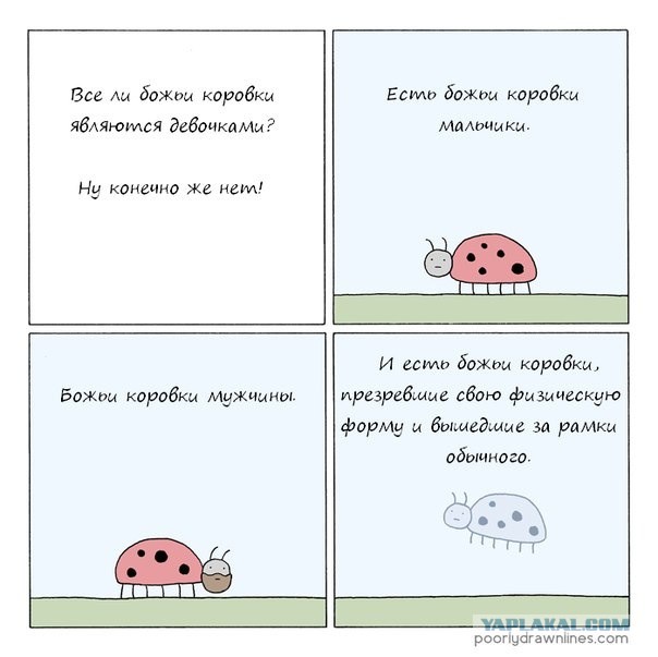 Весёлые картинки. Разбавим будни