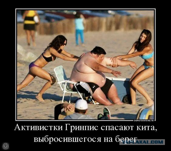 Комментарии из социальных сетей