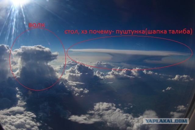 "Взял билет у окна"