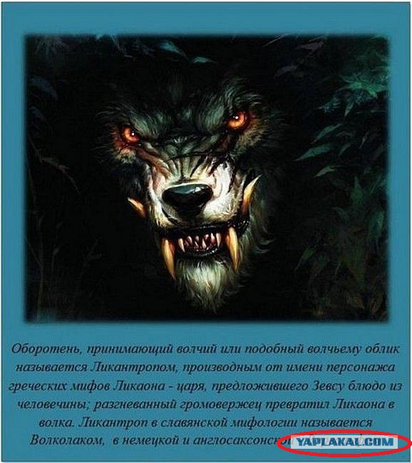 Интересные факты обо всем на свете
