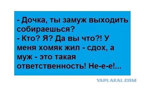 Весёлые картинки