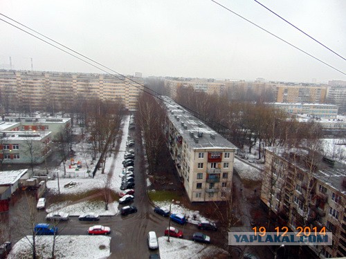 Зима 2014-2015
