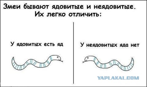 Весёлое из сети