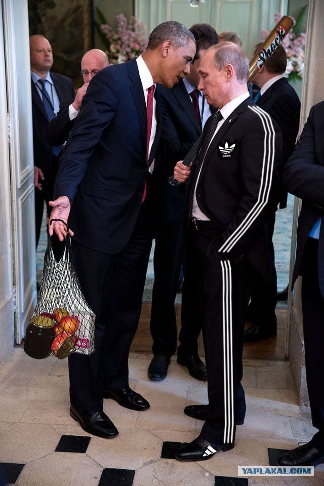 Одна жаба