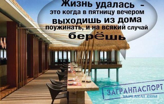 Забавные картинки.