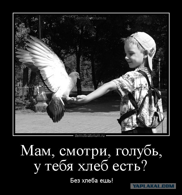 А рука так и тянется