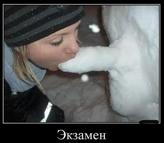 Демотиваторы вторника