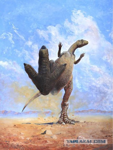 Шокирующие открытия Украинских ученых