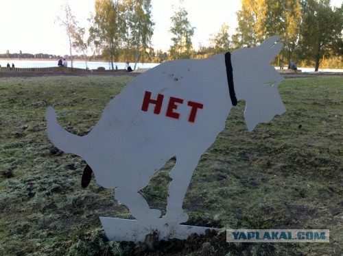 Вышел тут  прогуляться и офигел