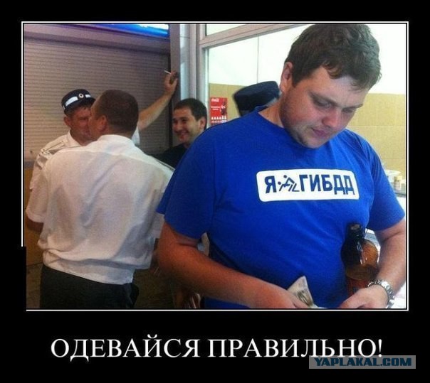 Приколы из сети