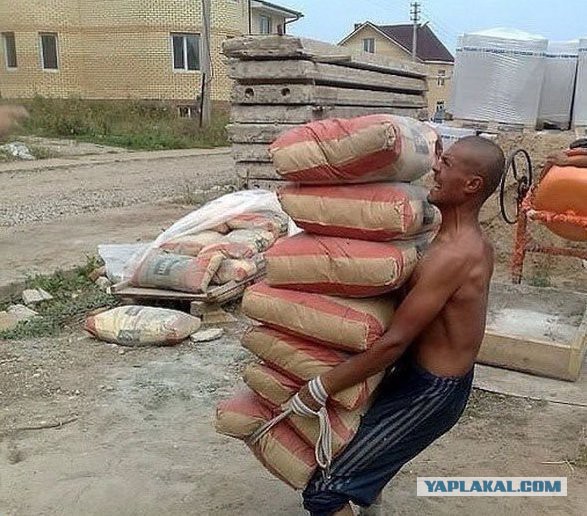 Грузчик 80lvl