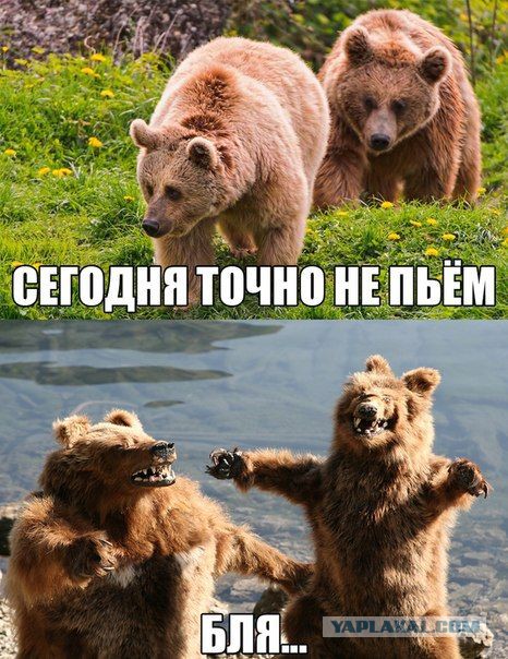 Веселости на пятницу