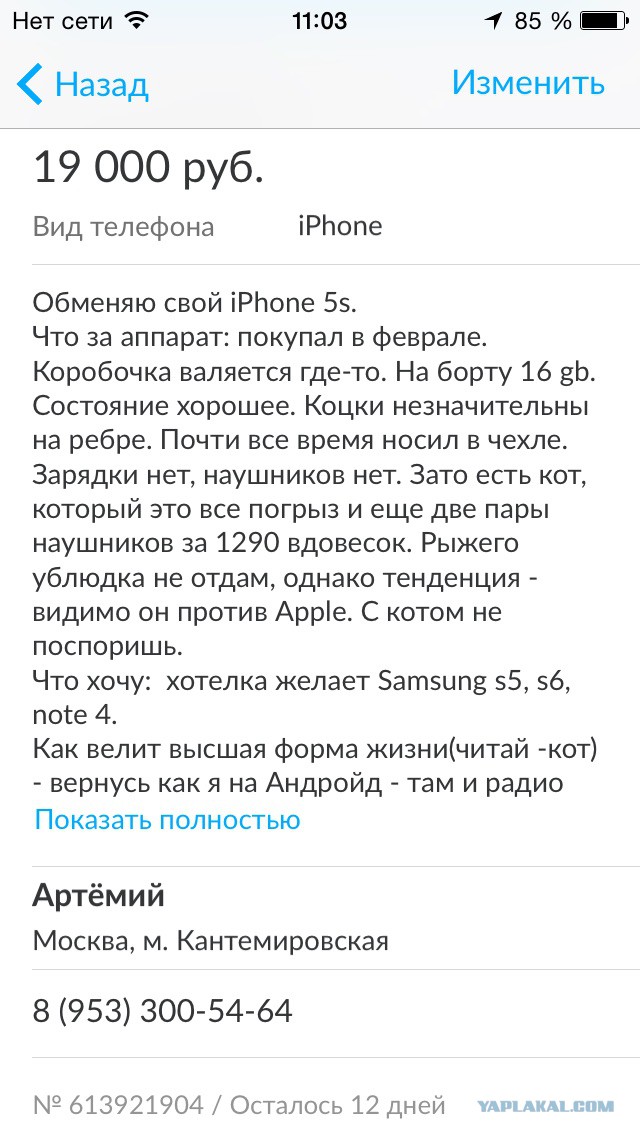 30 самых умопомрачительных объявлений с Авито