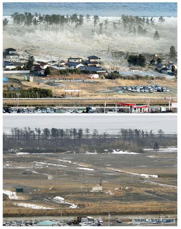 Tsunami: год спустя.